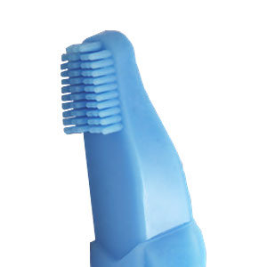 Valplast DentureBrush